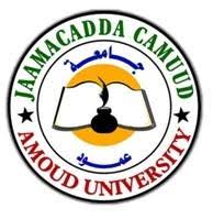 Amoud University