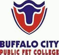 Buffalo City Public College