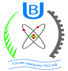 University of Burao