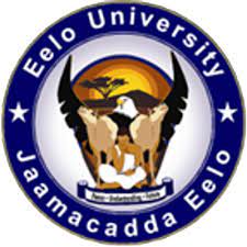 Eelo American University