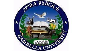 Gambella University