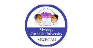 Mwenge University College of Education