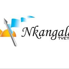 Nkangala College