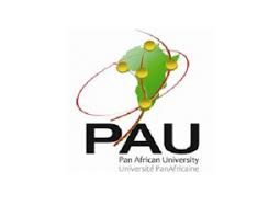 Pan African University Ethiopia