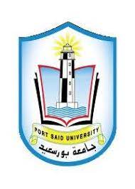 Port Said University