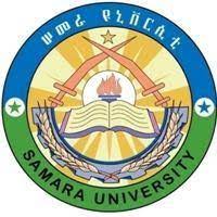 Samara University