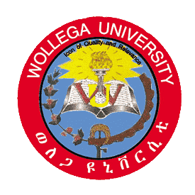 Wollega University