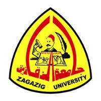 Zagazig University